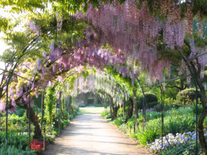 NAHOMA_NEVERS_SORTIE_PARCFLORAL