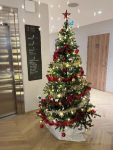 NAHOMA_NEVERS_SAPIN-DE-NOEL-ROUGE-ET-OR-2022