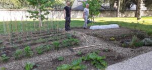 NAHOMA-NEVERS-POTAGER-EVOLUTION