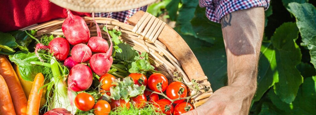 Notre joli potager continue à prendre forme