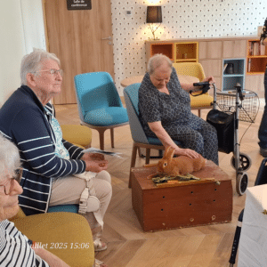 nahoma_nevers-les-oreilles-du-sourire-lapin-de-bourgogne-2
