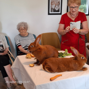 nahoma_nevers-les-oreilles-du-sourire-lapin-de-bourgogne-3