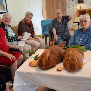 nahoma_nevers-les-oreilles-du-sourire-lapin-de-bourgogne-4