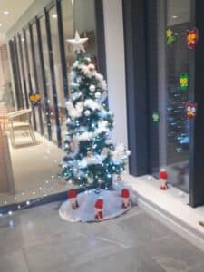 Nahoma-residence-service-seniors-Vernon-sapin-de-noel-2024