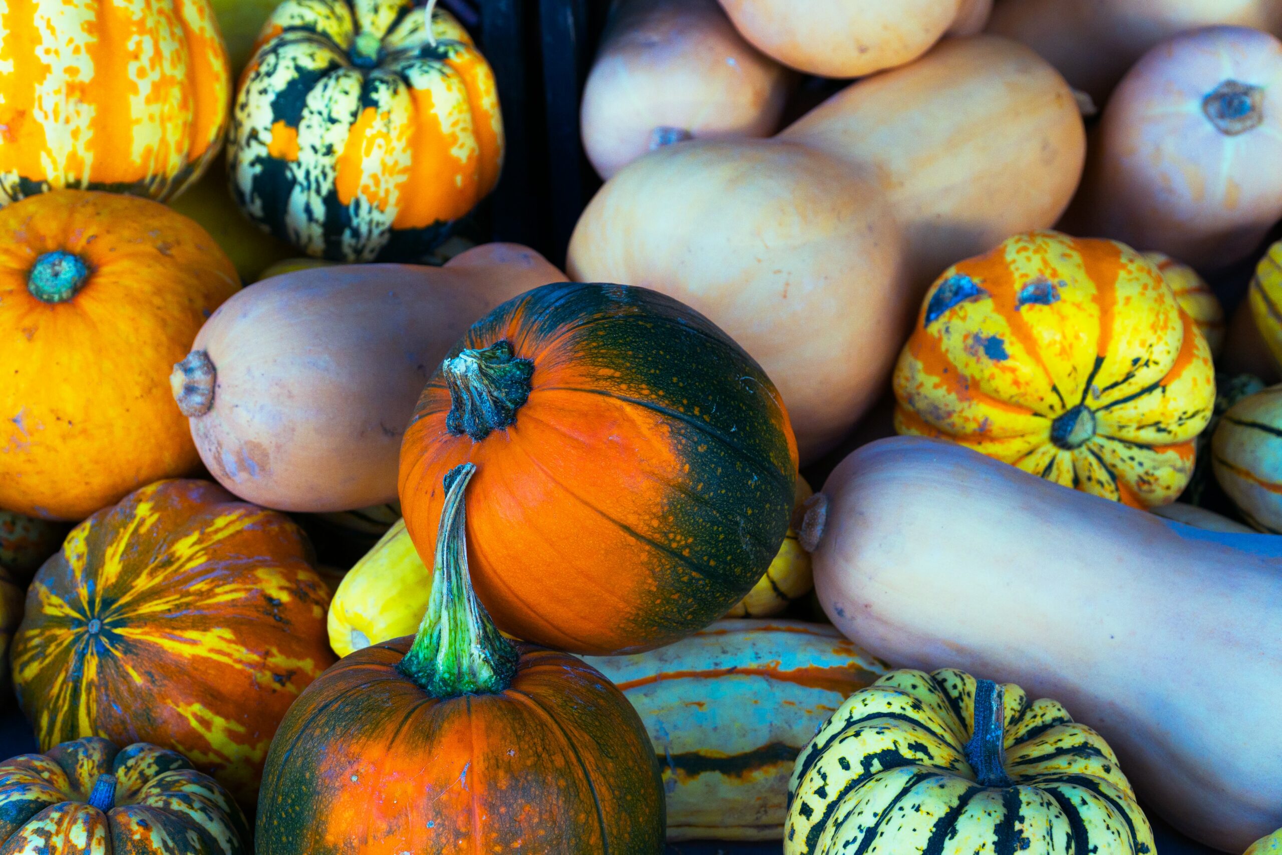 Les fruits et légumes d’hiver à dévorer sans modération