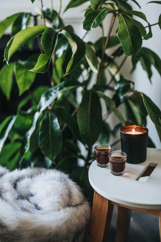 Comment désodoriser et parfumer efficacement son intérieur ?