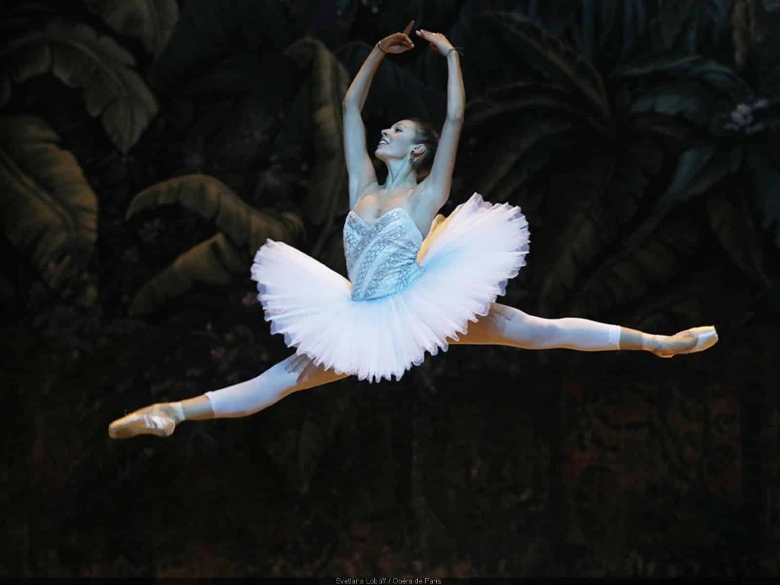 Ballets, opéras, expos… Quatre sites web pour inviter la culture à la maison