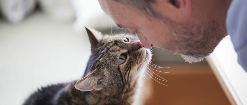 La zoothérapie : quand les animaux nous font du bien